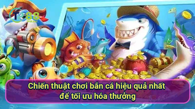 chien-thuat-choi-ban-ca-hieu-qua-nhat-de-toi-uu-hoa-thuong