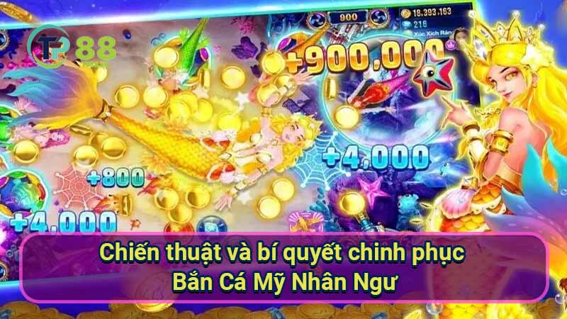 chien-thuat-va-bi-quyet-chinh-phuc-ban-ca-my-nhan-ngu