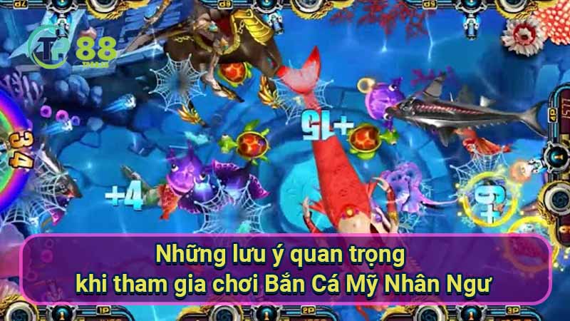 nhung-luu-y-quan-trong-khi-tham-gia-choi-ban-ca-my-nhan-ngu