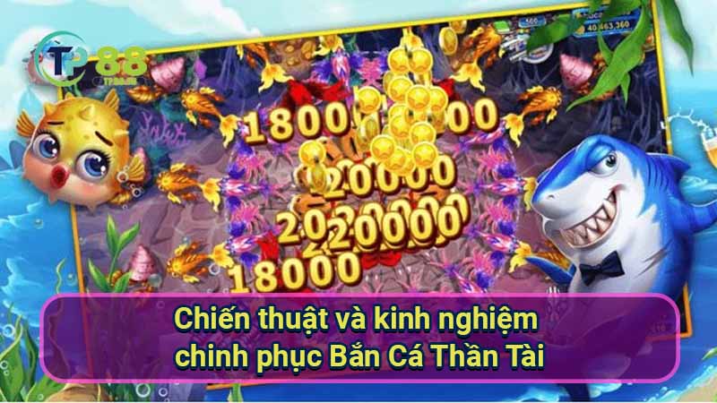 chien-thuat-va-kinh-nghiem-chinh-phuc-ban-ca-than-tai