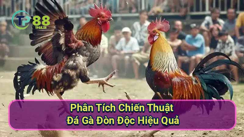 mau-mang-da-ga:-phan-tich-xu-huong-mau-sac-trong-the-gioi-da-ga-truc-tuyen