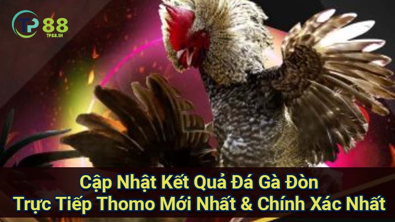 cap-nhat-ket-qua-da-ga-don-truc-tiep-thomo-moi-nhat-&-chinh-xac-nhat