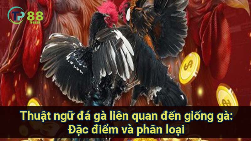 thuat-ngu-da-ga-lien-quan-den-giong-ga:-dac-diem-va-phan-loai