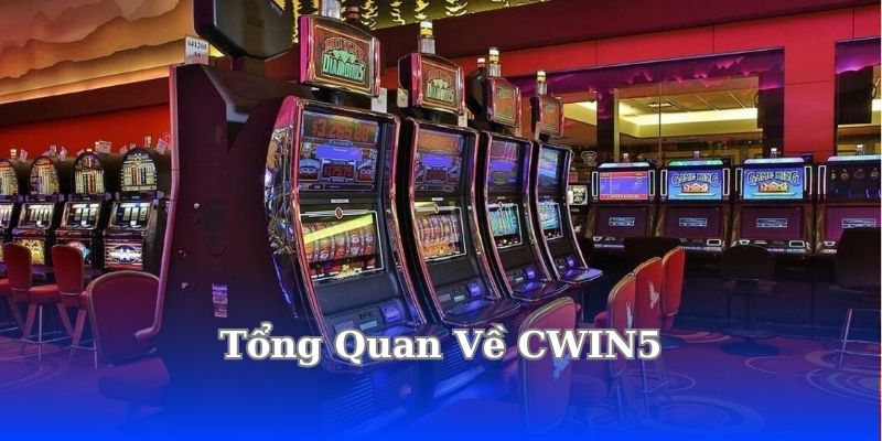 tong-quan-ve-cwin5